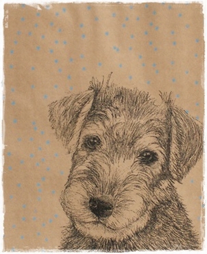Zak, 21 x 26 cm. afb. hond met blauwe stipjes