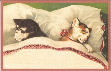 Postcard, Poes Miauw en Poes Minet slapen