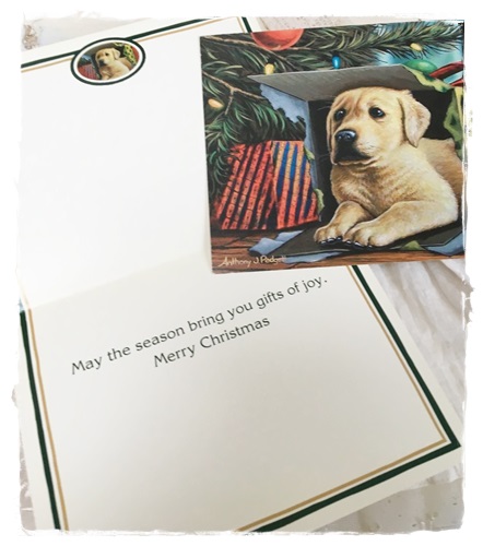 Supermooie dubbele kaart “May the season bring you gifts of joy ”13,5 x 17,5 cm. plus enveloppe