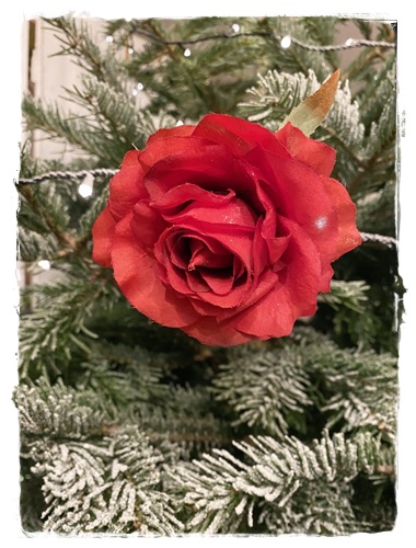 Rode roos met clip voor in de kerstboom, je haar of op een jasje.