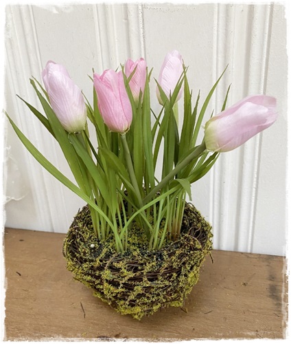 Leuke tulpenplant roze in mosbakje, 13 cm. br. x 22 a 24 cm. hoog