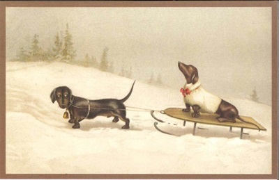 Postcard teckel op de slee in de sneeuw 14 x 9 cm.