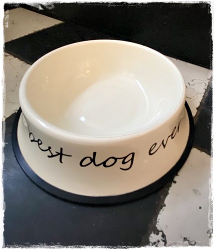 Emaille honden eet/drinkban Best dog ever.
