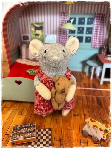 koffertje het muizenhuis voor sam of julia aaaaa